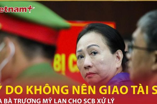 Luật sư nêu lý do 'không nên giao tài sản của bà Trương Mỹ Lan cho SCB xử lý'