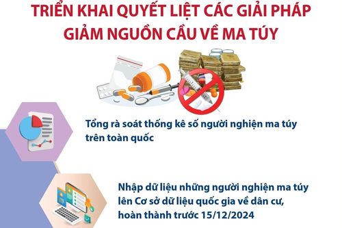 Triển khai quyết liệt các giải pháp giảm nguồn cầu về ma túy