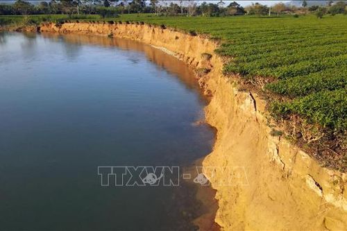 Sạt lở nghiêm trọng bờ sông Ngàn Phố (Hà Tĩnh)