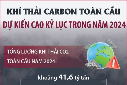Dự kiến khí thải carbon toàn cầu cao kỷ lục trong năm 2024