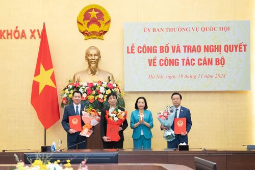Công bố và trao nghị quyết của Ủy ban Thường vụ Quốc hội về công tác cán bộ