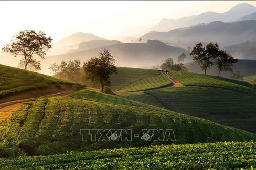 Cơ hội phát triển du lịch từ Famtrip, Presstrip