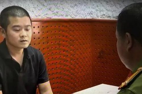 Đề nghị truy tố phó giám đốc một công ty truyền thông thuê người chặt 9 cây cau