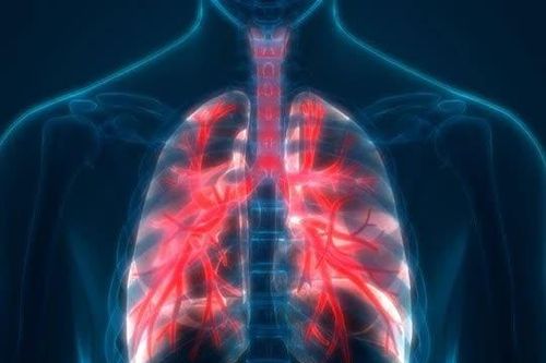 Nghiên cứu kết quả phục hồi chức năng hô hấp ở bệnh nhân bệnh phổi tắc nghẽn mạn tính tại TP Đà Nẵng