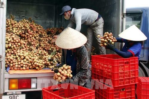 Bắc Giang đặt mục tiêu nằm trong Top đầu miền Bắc về nông nghiệp