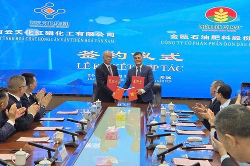 Thêm nguồn cung DAP chất lượng cao cho nông dân Việt Nam