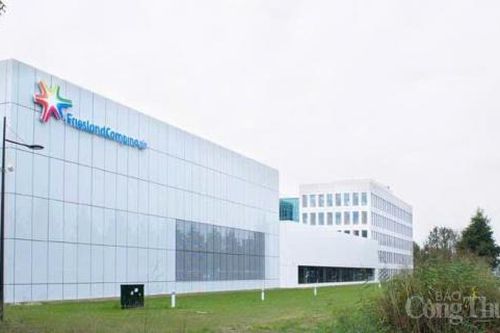 Sữa Cô Gái Hà Lan thăng hạng vượt bậc trong sáng kiến tiếp cận dinh dưỡng toàn cầu.