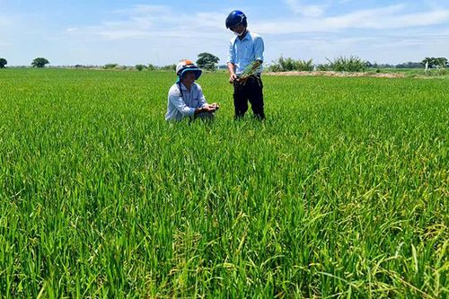 Kinh tế - xã hội huyện An Phú tiếp tục tăng trưởng
