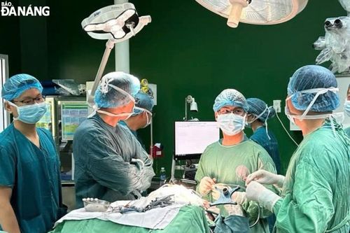 Phẫu thuật thành công cho nữ bệnh nhân bị động kinh cục bộ thùy trán