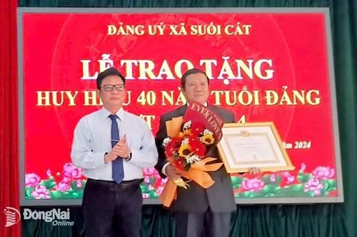 Khắp nơi trong tỉnh chiều 19-11-2024