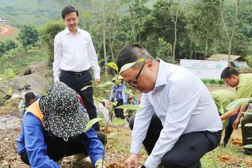 Đoàn công tác Báo Nhân Dân trao tặng và trồng cây xanh tại thôn Làng Nủ