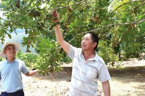 Đam Rông hướng đến 3 tiểu vùng phát triển kinh tế