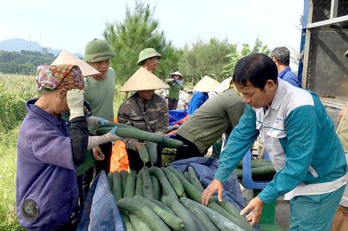 Chuyển dịch cơ cấu kinh tế ở Văn Lang