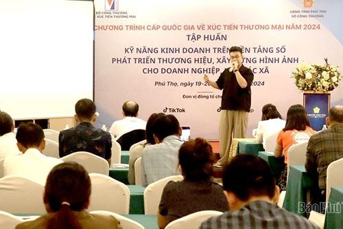 Tập huấn kỹ năng kinh doanh trên nền tảng số cho doanh nghiệp, hợp tác xã