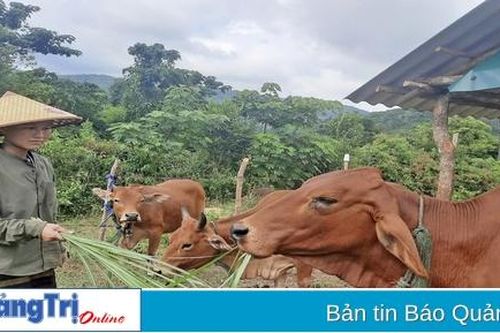 Người phụ nữ Vân Kiều vượt khó vươn lên
