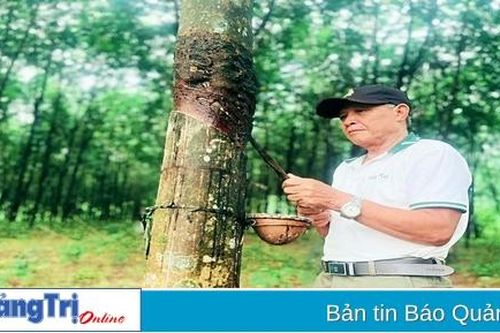 Vượt khó với nghề nông