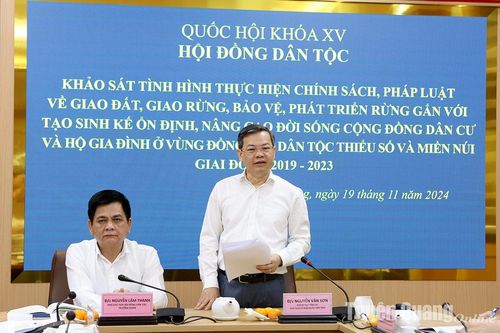 Tiếp tục quan tâm thực hiện tốt chính sách, pháp luật về giao đất, giao rừng, bảo vệ, phát triển rừng gắn với tạo sinh kế nâng cao đời sống vùng DTTS&MN