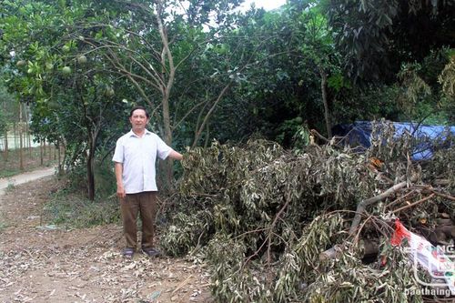 Bí thư chi bộ gương mẫu, trách nhiệm ở Lân Vai