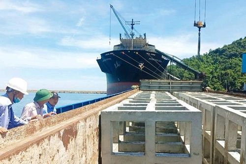 Kiến nghị dừng dự án phục hồi rạn san hô