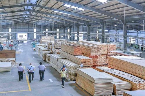 Lỗ 'khủng' nhưng Gỗ Trường Thành (TTF) liên tục mở rộng hệ sinh thái