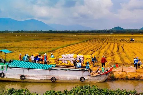 Giải bài toán tín dụng cho ngành nông sản Đồng bằng sông Cửu Long