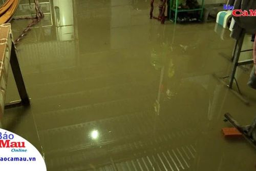 Huyện Ngọc Hiển: Triều cường cao, nhiều nhà dân ngập sâu trong nước