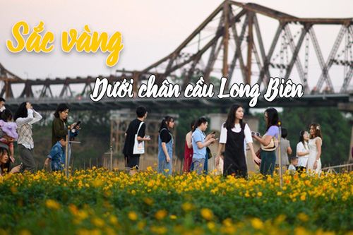 Từ bãi rác thành bến hoa tuyệt đẹp dưới chân cầu Long Biên