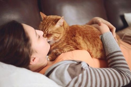 Mang mèo hoang về nuôi, cả gia đình bị nhiễm nấm da
