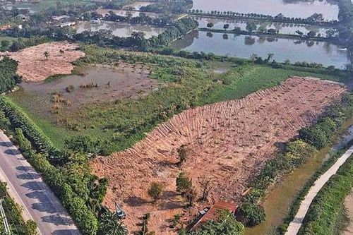 Quản lý đất nông nghiệp công ích tại Hà Nội: Tăng giám sát, nâng trách nhiệm
