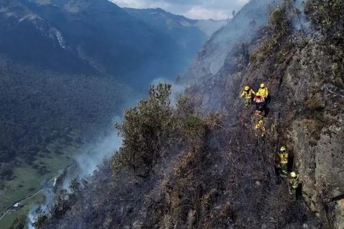 Cháy rừng khiến Ecuador phải ban bố tình trạng khẩn cấp quốc gia