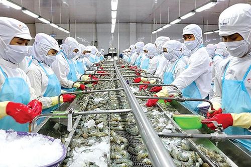 Cà Mau: Đẩy mạnh xúc tiến thương mại, mở rộng thị trường cho thủy sản