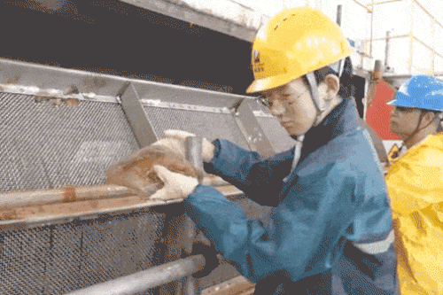 Cảnh tượng hơn 150 tấn sứa biển phá hủy nhà máy điện ở Trung Quốc
