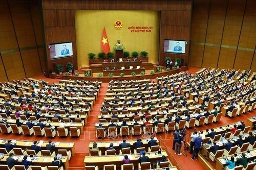 Sáng 20/11, Quốc hội thảo luận dự án Luật Nhà giáo