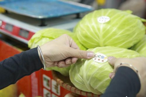 Khai mạc Hội chợ triển lãm Nông nghiệp Quốc tế lần thứ 24