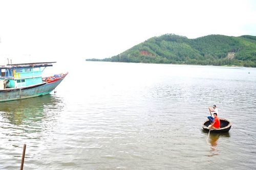 Kiến nghị dừng dự án trồng và phục hồi rạn san hô ngoài biển Thừa Thiên Huế