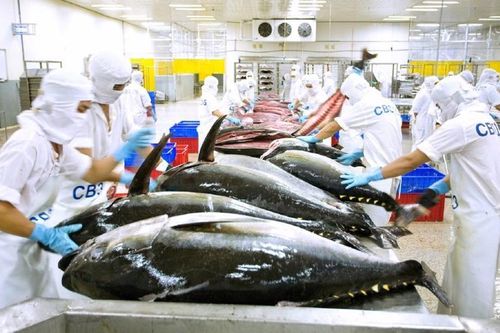 Tin tức kinh tế ngày 20/11: Xuất khẩu cá ngừ lập đỉnh 2 năm
