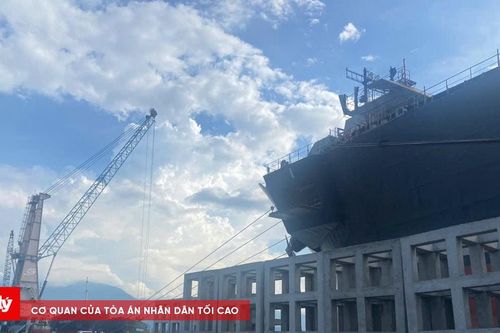 Kiến nghị dừng dự án trồng, phục hồi san hô tại tỉnh TT-Huế