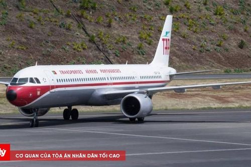 132 con chuột thoát khỏi lồng, chạy tán loạn trên máy bay