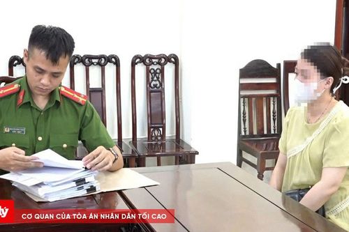 Lừa làm thủ tục đi du lịch nhằm chiếm đoạt tiền tỷ