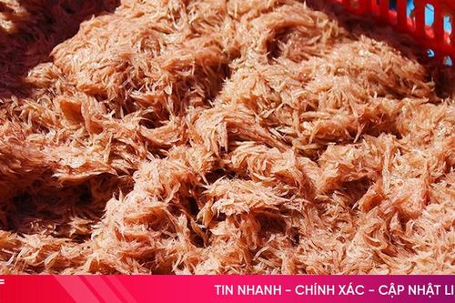 Ngư dân Kỳ Ninh trúng đậm ruốc biển