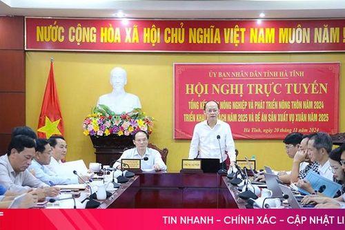 Hà Tĩnh phấn đấu gieo cấy hơn 59.000 ha lúa xuân 2025