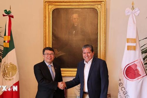 Việt Nam tăng cường hợp tác với các địa phương Mexico