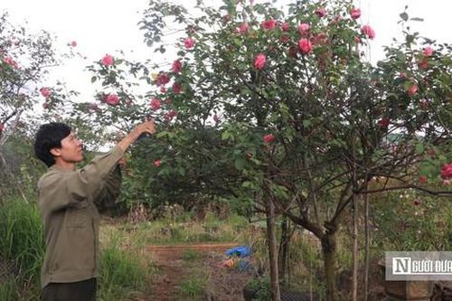 Khởi nghiệp từ những món quà tặng mẹ, chàng trai 9X mang về doanh thu 'khủng'
