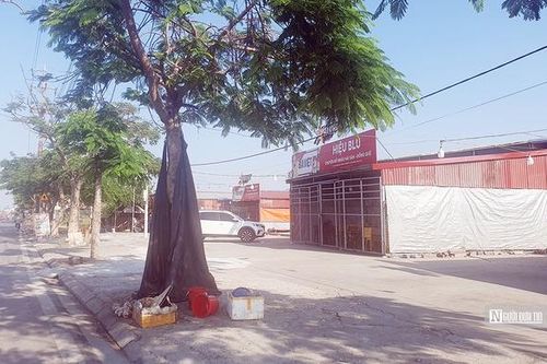 Hải Phòng: Sớm giải quyết vụ việc 'giao nhầm' đất kéo dài hơn 20 năm