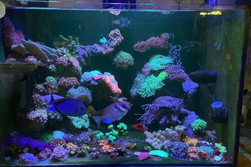 Khởi nghiệp từ 75.000 đồng nuôi con xinh đẹp, 9x kiếm bộn tiền