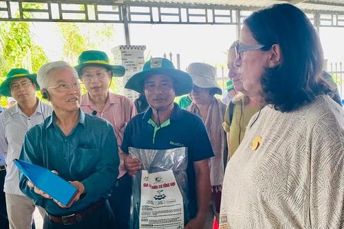 Đoàn công tác WB thăm thực tế sản xuất lúa tại TP Cần Thơ