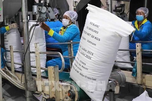 Việt Nam-Malaysia: Nhiều dư địa trong hợp tác thương mại