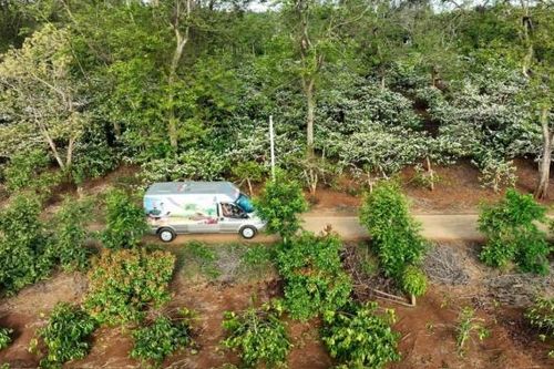 Những giải pháp hay giúp 'Thức dậy' những mùa vàng