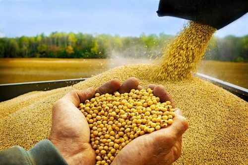 Từ 16/12, điều chỉnh giảm thuế nhập khẩu nhiều mặt hàng