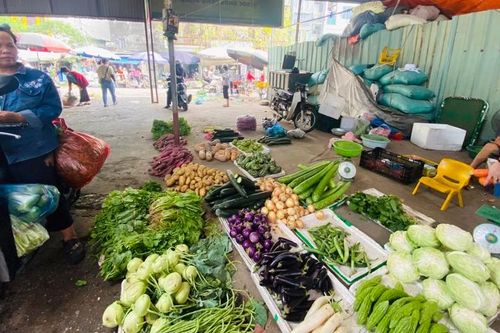 Hà Nội đặt mục tiêu mỗi quận, huyện có 1 trạm xét nghiệm nhanh thực phẩm